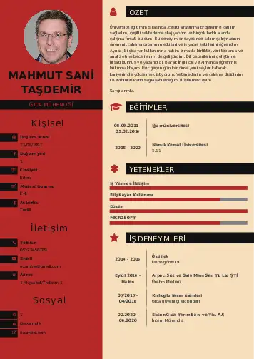 Gıda Mühendisi CV Örnekleri cv indir